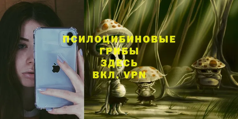 сколько стоит  Комсомольск  Галлюциногенные грибы Magic Shrooms 